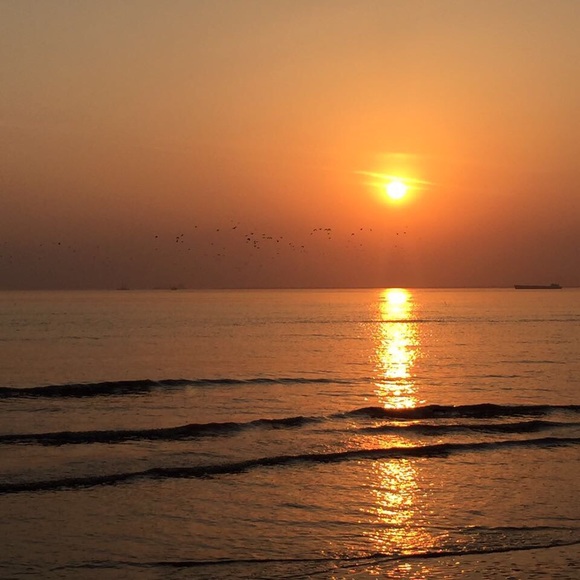 Meet your Posher, Rita - Picture 1 of 1